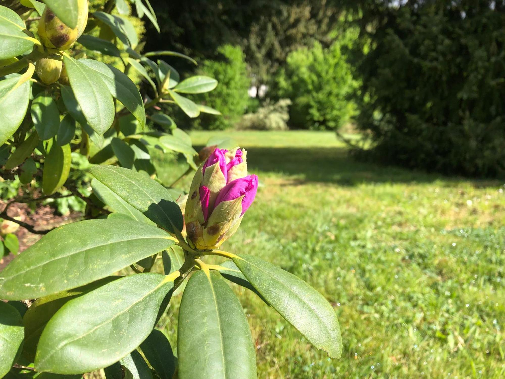 Idas Garten Bad Lauterberg Kültér fotó