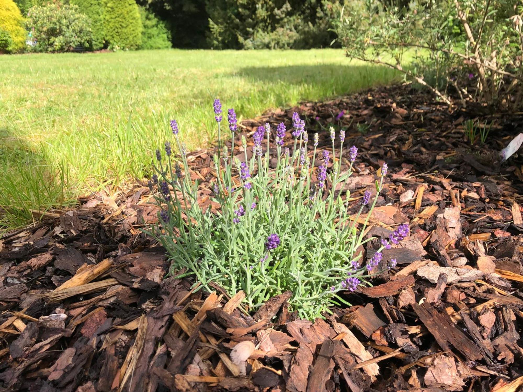 Idas Garten Bad Lauterberg Kültér fotó